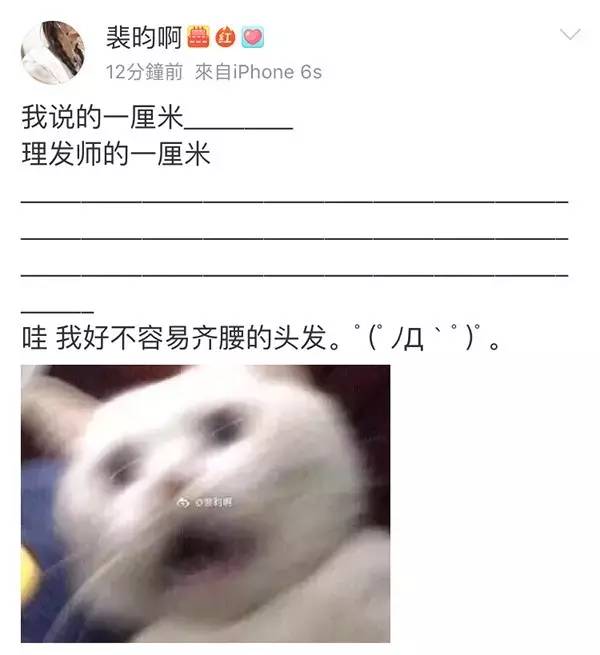 小编有话说理发师似乎永远都听不懂人话剪短一点不是剪秃啊