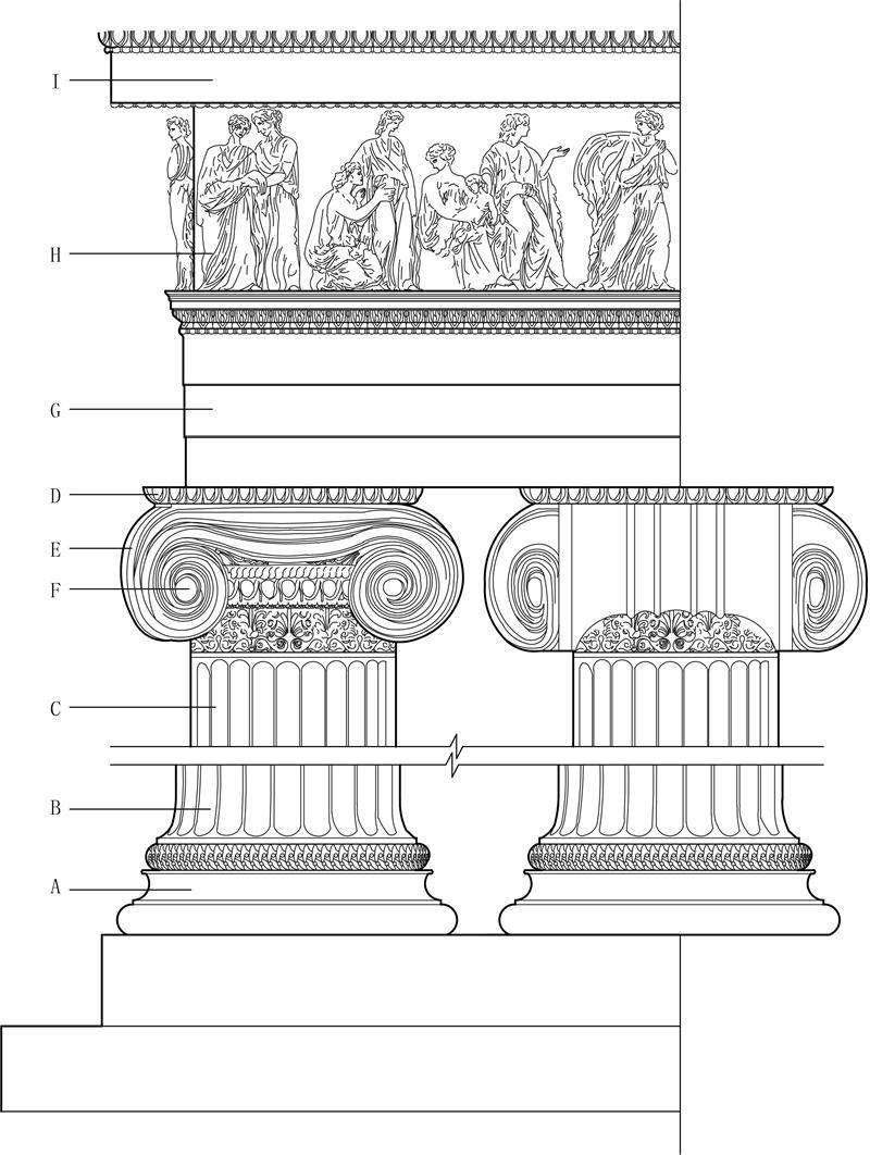图6古希腊建筑的爱奥尼柱式 高祥生工作室绘制