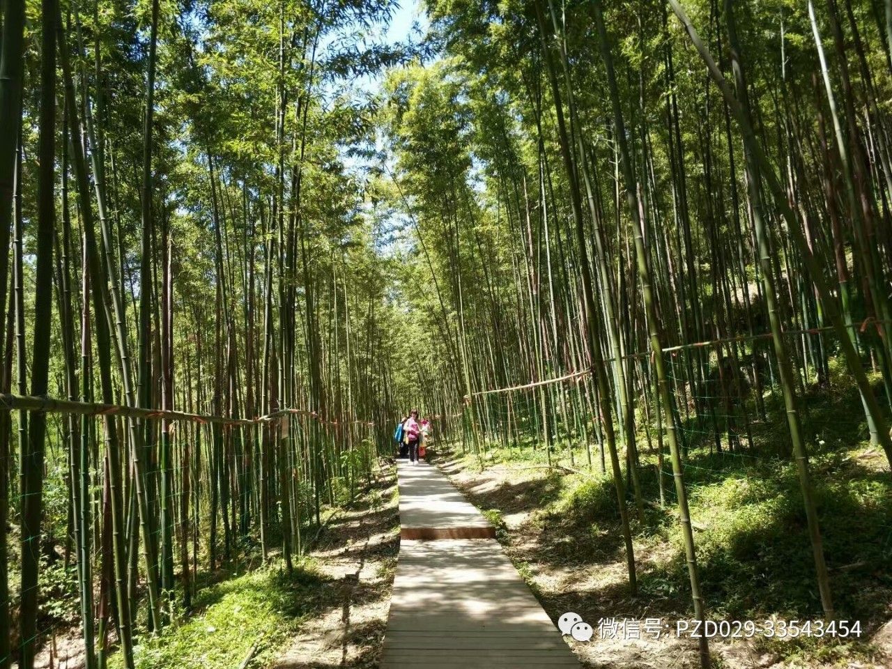 【飘之队户外】临潼丝绸之路展览馆 鲸鱼沟关中竹海 白鹿仓民国小镇