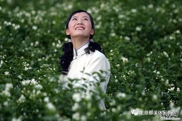 历史回眸:民歌《茉莉花》起源于明代