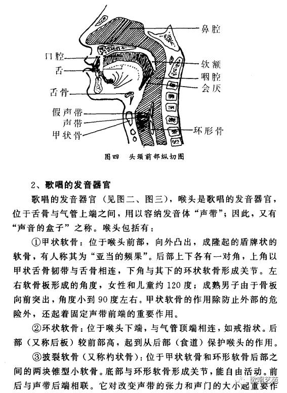 怎样练习歌唱:(一)歌唱发声的生理结构