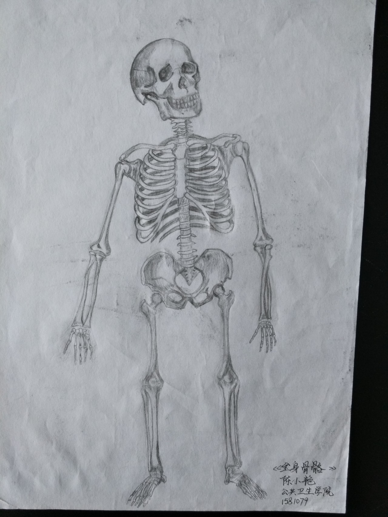 "杏林佳画"人体解剖学绘画大赛活动复赛线上投票开始