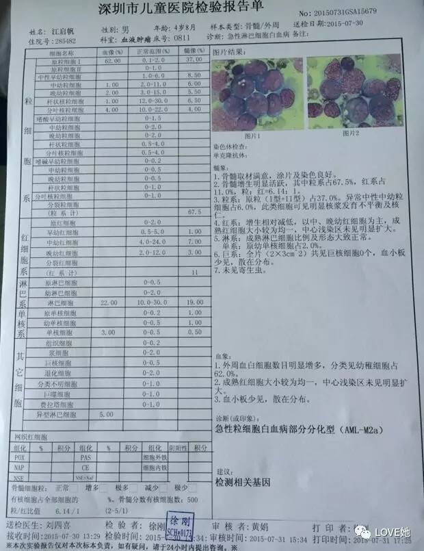 救救福建这孩子,骨髓移植前4个供者都悔捐,台湾这个是