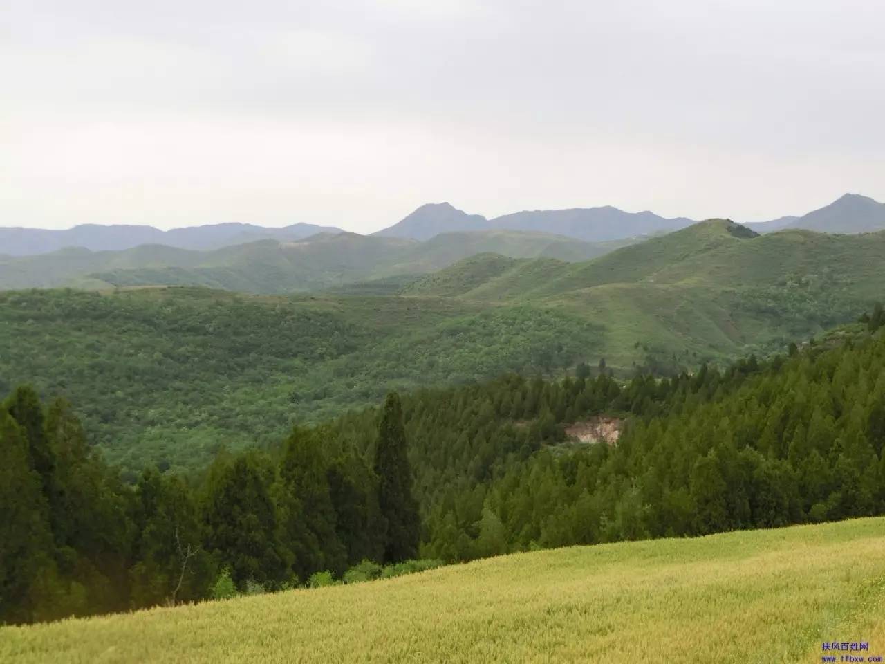 扶风诗苑黔首从西观山回望