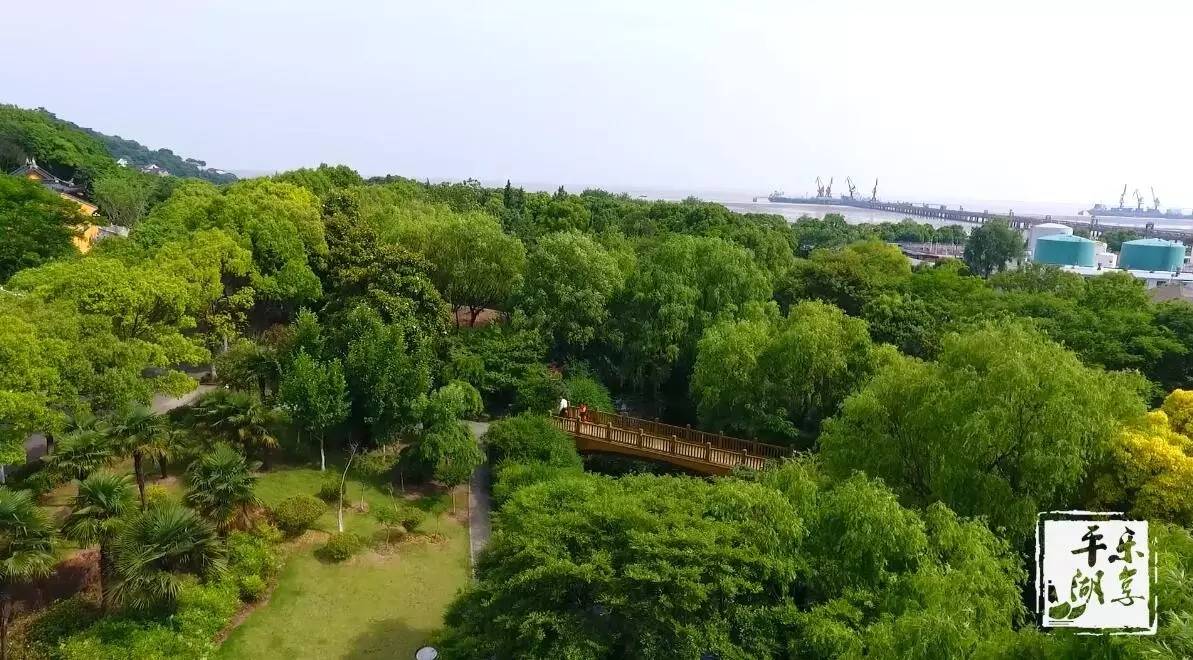 【平湖好风景】雨过天晴,出个小远门,乍浦汤山公园绿