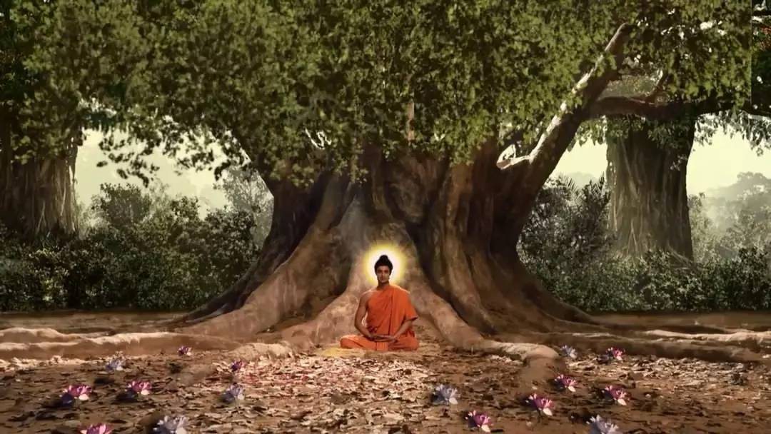 印度电视剧佛陀中的瑜伽呼吸和功法