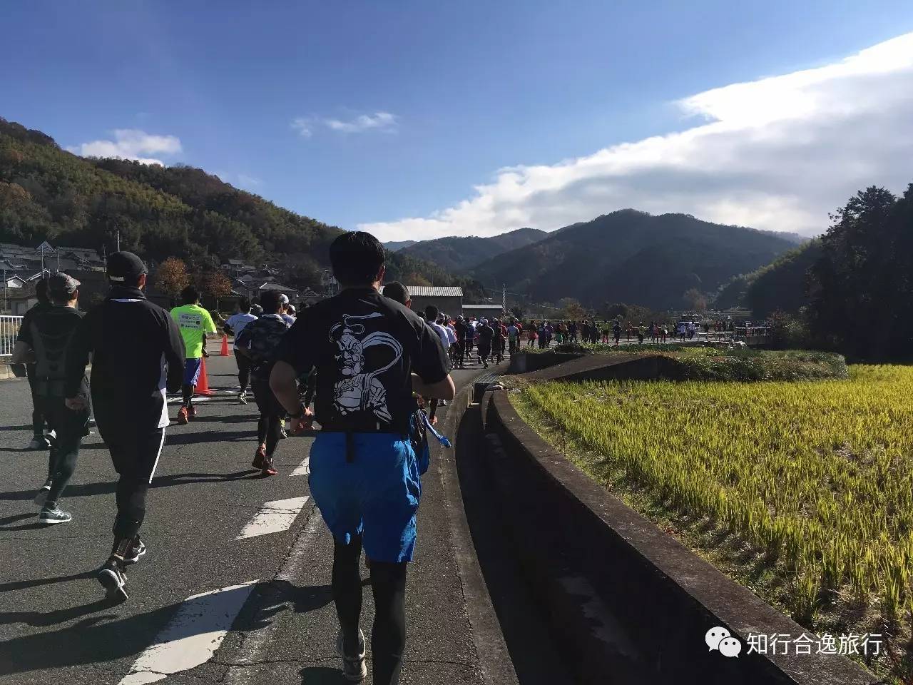 奈良县天理市人口_原神天理维系者图片