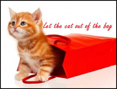 let the cat out of the bag是什么意思?