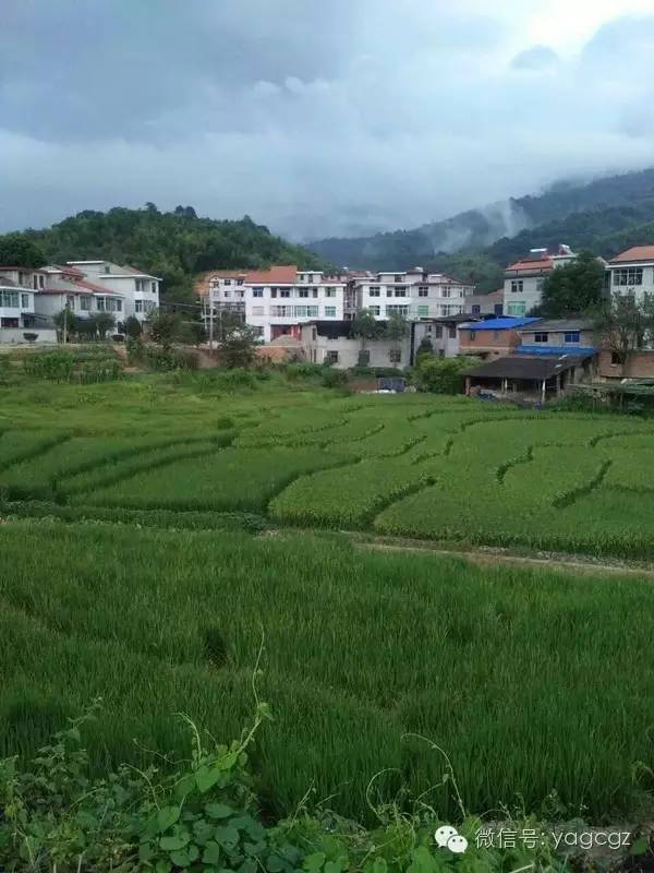 贡川镇龙岭村被确定为三明市第三批市级美丽乡村示范村