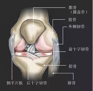 老人膝盖骨质增生还有滑膜炎,怎么治疗比较好