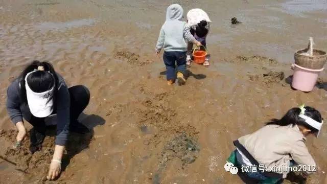 来田横岛十里月滩赶海.