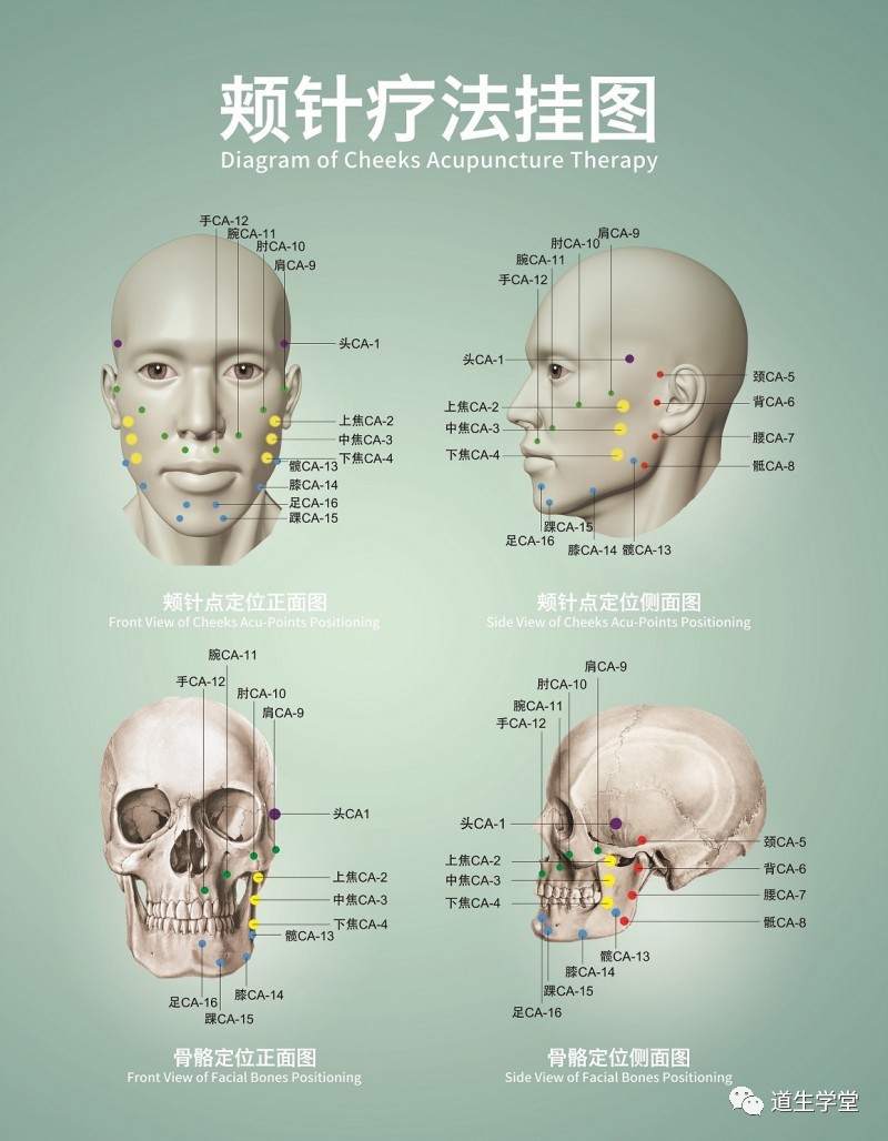 颊针疗法丨《颊针疗法挂图》出版发行