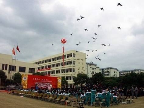 闵行区新梅小学——拒绝扣上菜小的帽子!