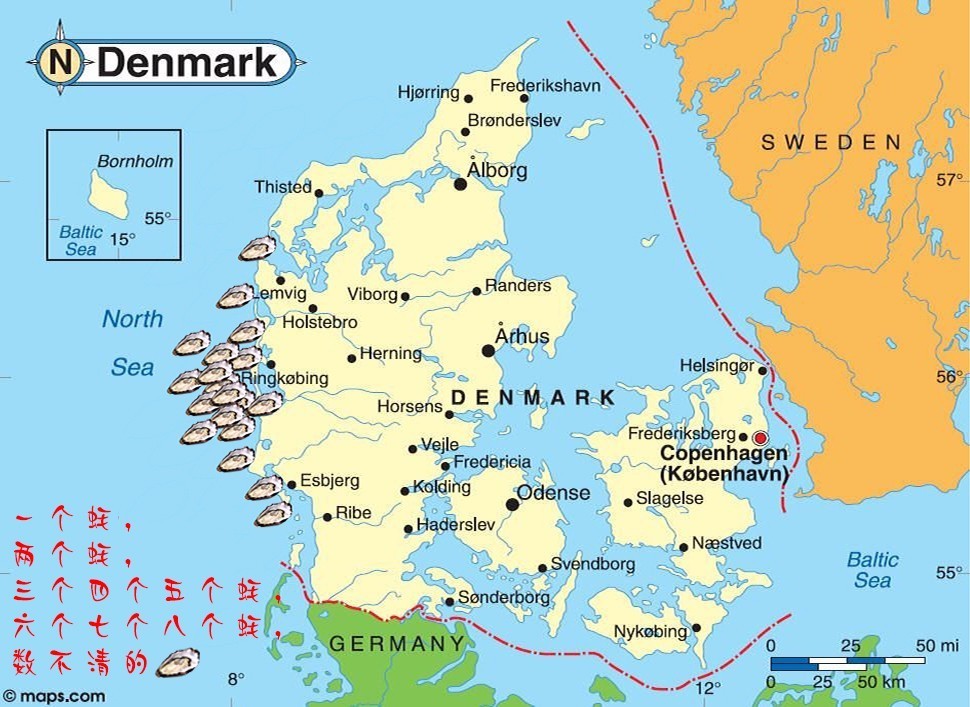 jk耐心的回答: 丹麦生蚝最多的地方是日德兰半岛西岸ringkobing那个