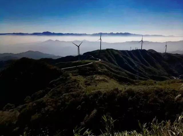 资源金紫山脉的十里平坦平均海拔高度1600—1800米之间,如今这里因风