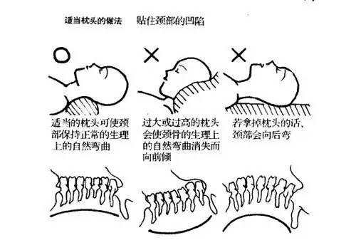 人的一生13的时间都在睡觉一定要选一款适合你的枕头各种枕头优缺点大