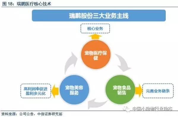 宠物医院商业模式案例瑞鹏股份商业模式