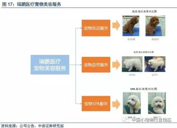 宠物医院商业模式案例瑞鹏股份商业模式