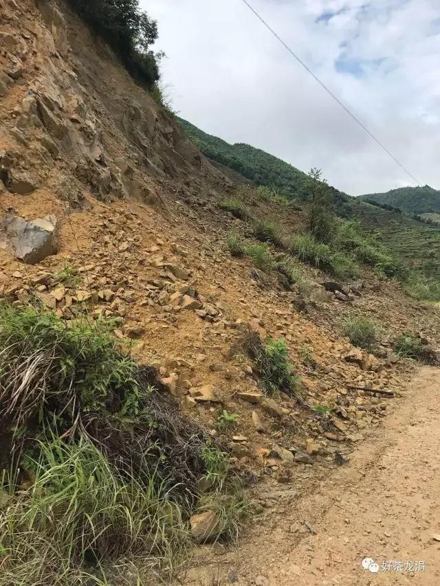 临沂兴大集团董事长(2)