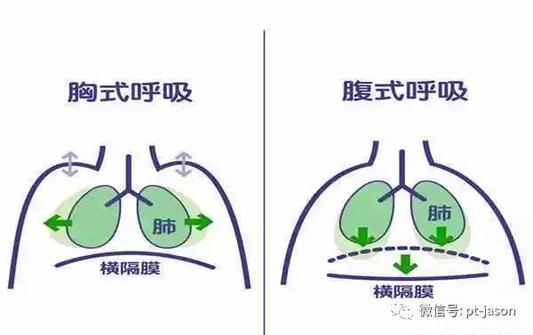 不同的呼吸方式对姿势与重量训练的影响!