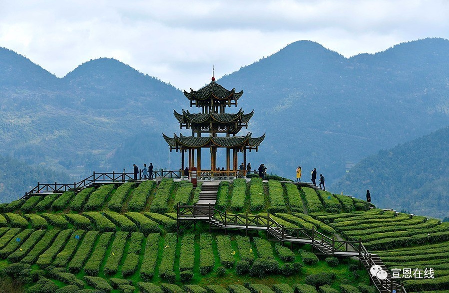 陪爸爸去欣赏周边的风景    注意事项:   本品概不