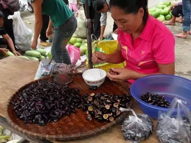 惠来县有多少人口_在广州等地想要学车的隆江老乡看过来,这里有一家惠来人自(2)