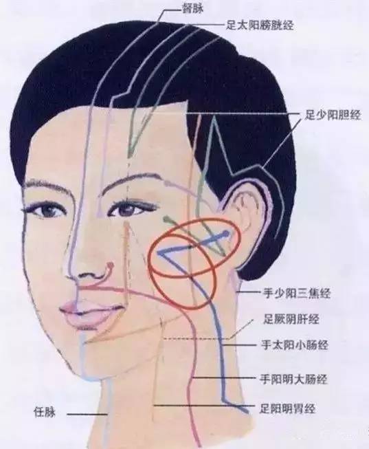 面部分布着9条经络,每条经络都有各自的作用,面容好不好直接和这些