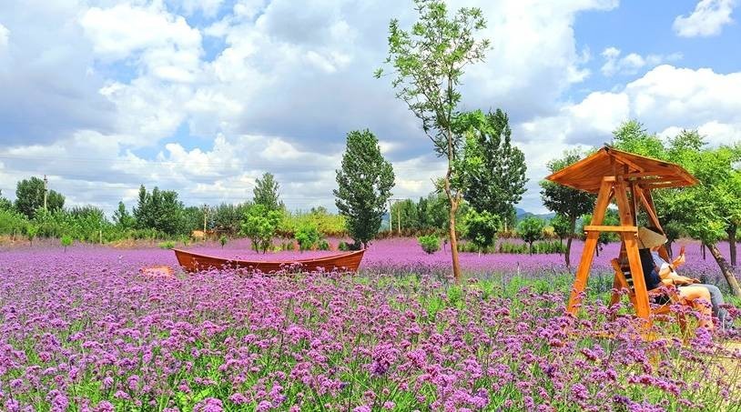 紫云水岸香草园