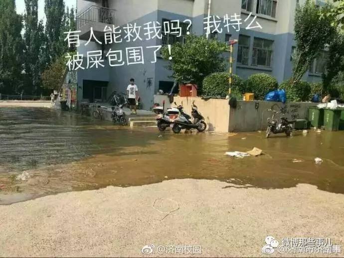 什么缘什么故的成语_缘什么鱼成语(2)