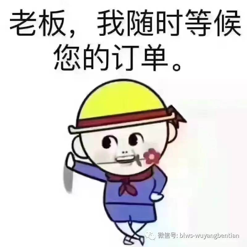 父皇不要