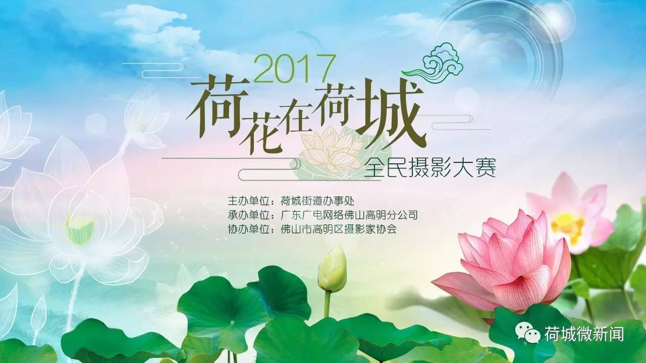 2017"荷花在荷城"全民摄影大赛正式启动!超丰厚奖金等着你!