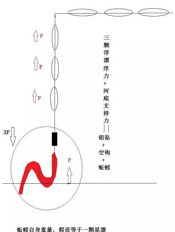 七星串钩钓白条的原理_路亚钓白条怎么钓