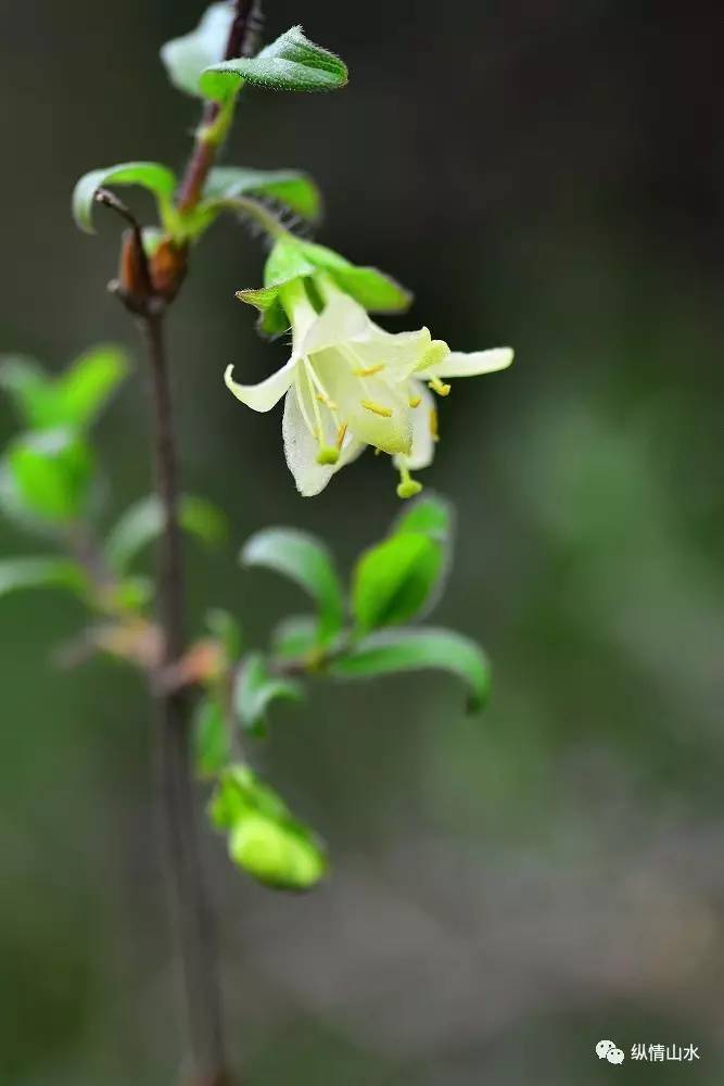 野花飘香的季节