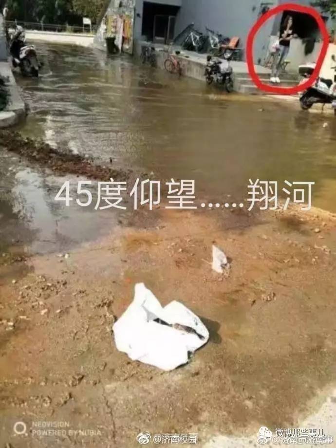 什么缘什么故的成语_缘什么鱼成语(3)