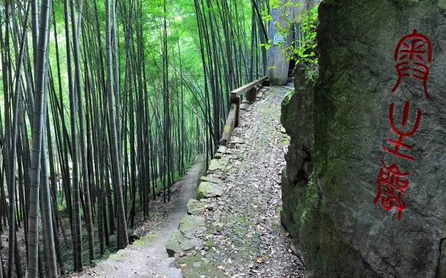 岩主怎么搭_原神古岩龙蜥怎么打