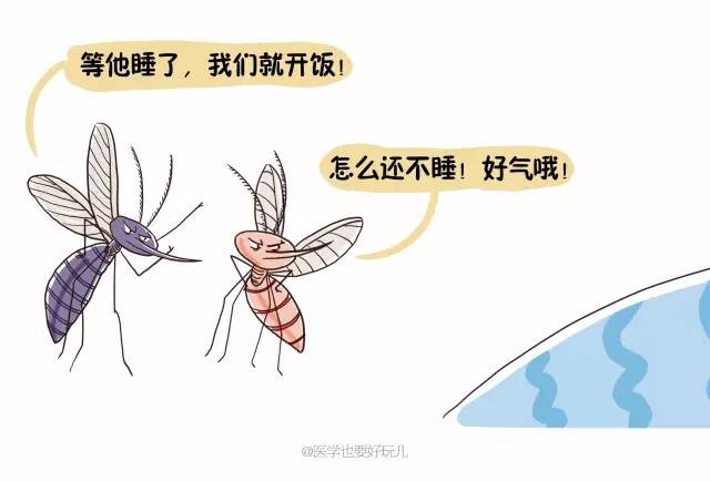 蚊子:别跟我谈血型,我喜欢的是你的味道!