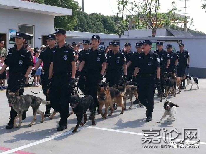 探访嘉兴市警犬训练基地,"我和汪星人有个约会"活动圆满结束!