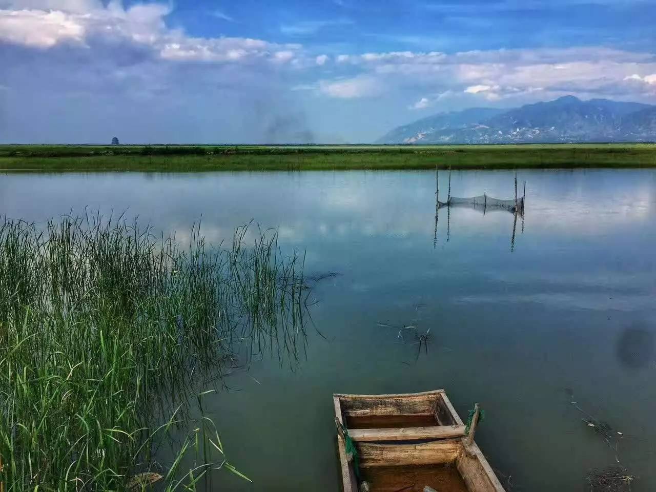 北国江南-大荔绝美湿地 两日行摄