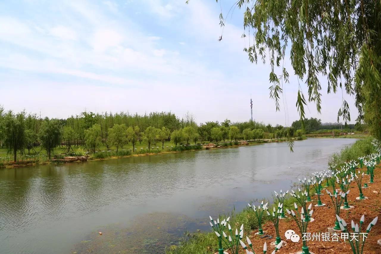 "水"为脉"绿"为廊,邳州将多一条绝美生态走廊!