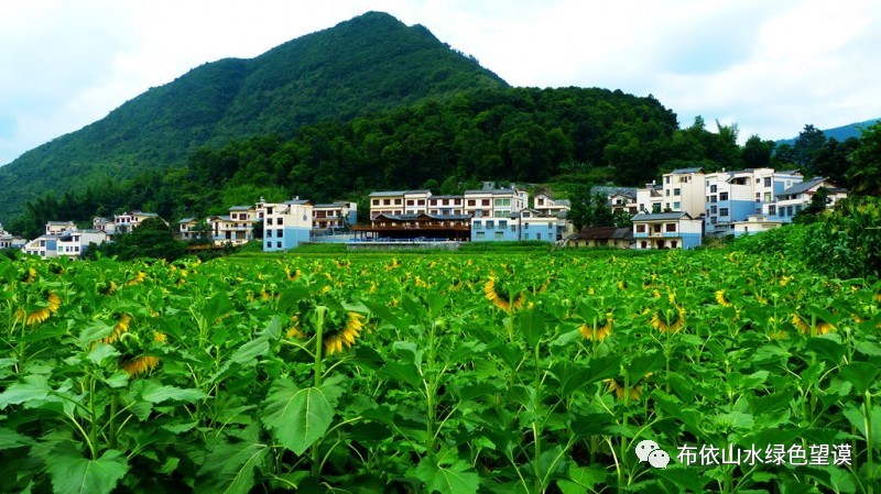 望谟的后花园—新屯,家家户户散发着的温暖的气息.