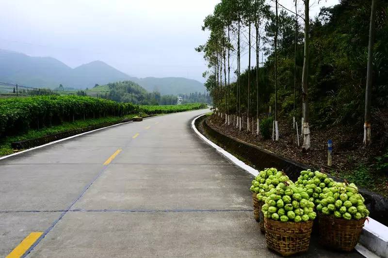 s244省道全长300公里,沿线有很多精彩的分支,连接粤北众多美景,最重要