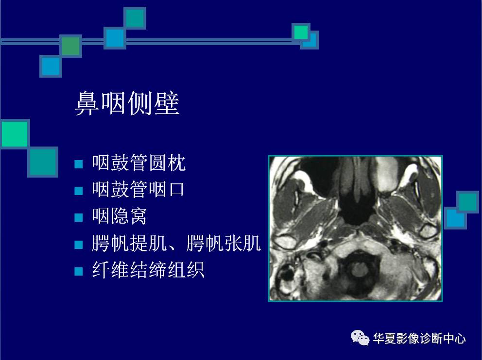 鼻咽与咽旁间隙的影像解剖