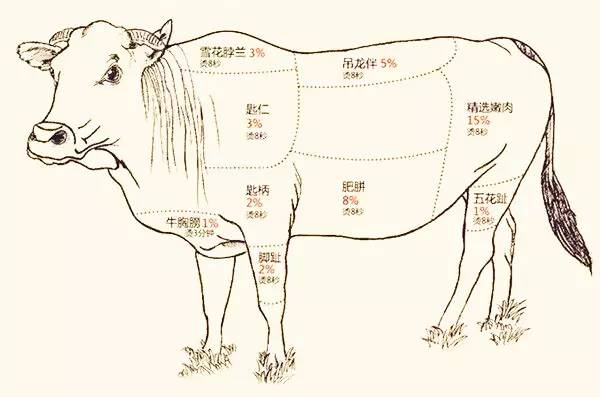 潮汕牛肉火锅主打的就是 新鲜牛肉·现切现卖