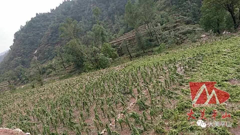 平山县人口最大村_石家庄平山县东岸村(2)