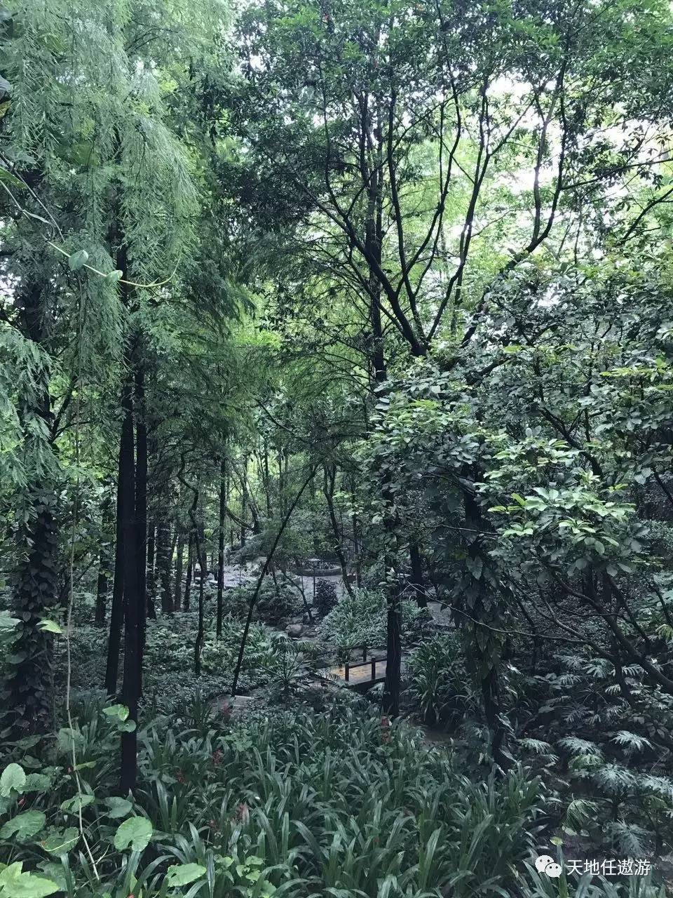 广州历史多少年_广州的历史_广州历史名胜古迹