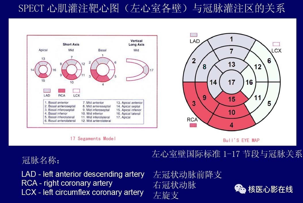 微学轻松掌握spect心肌灌注显像读片