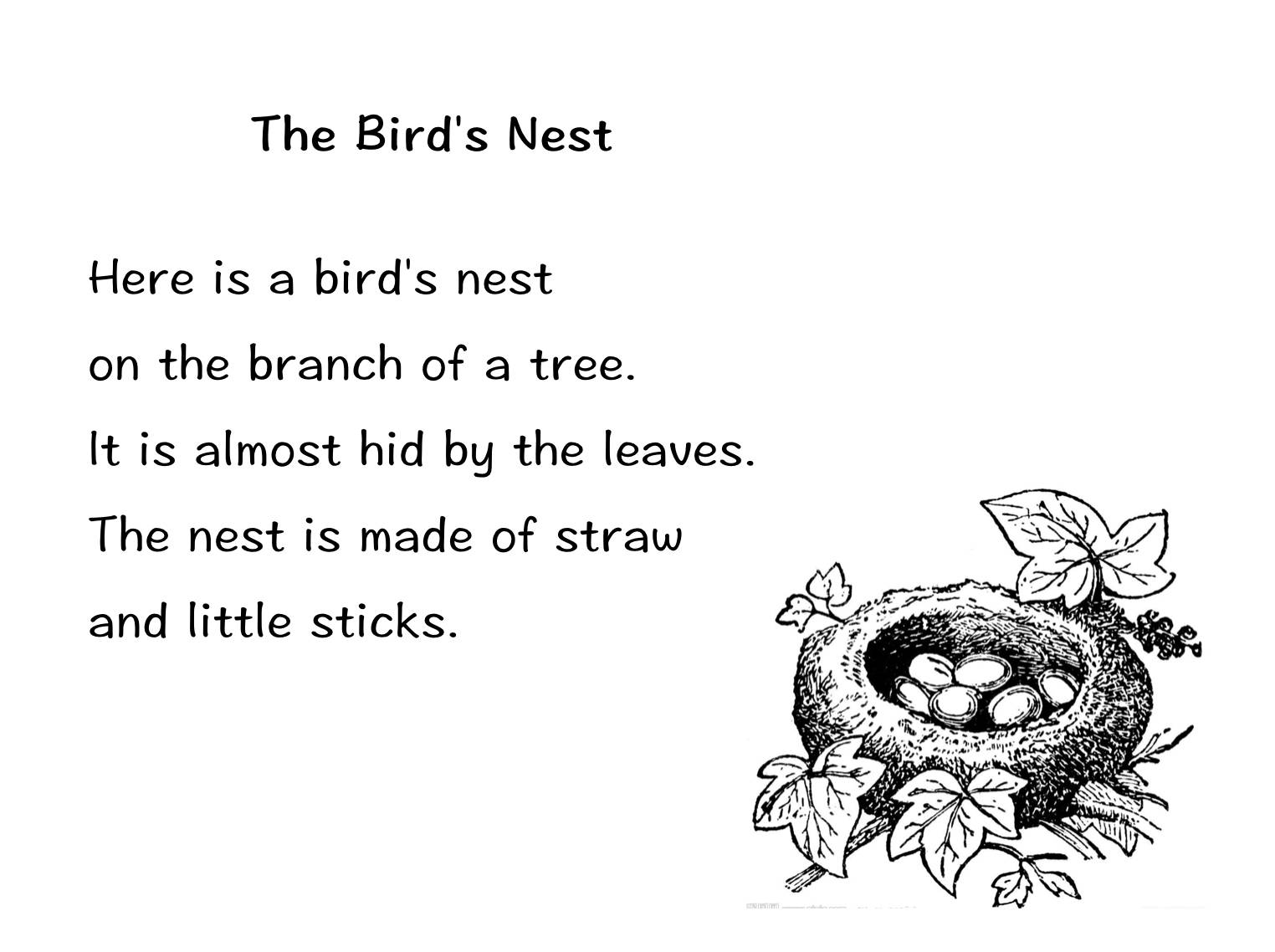 小新苗爱朗读之 the bird"s nest 《鸟巢》