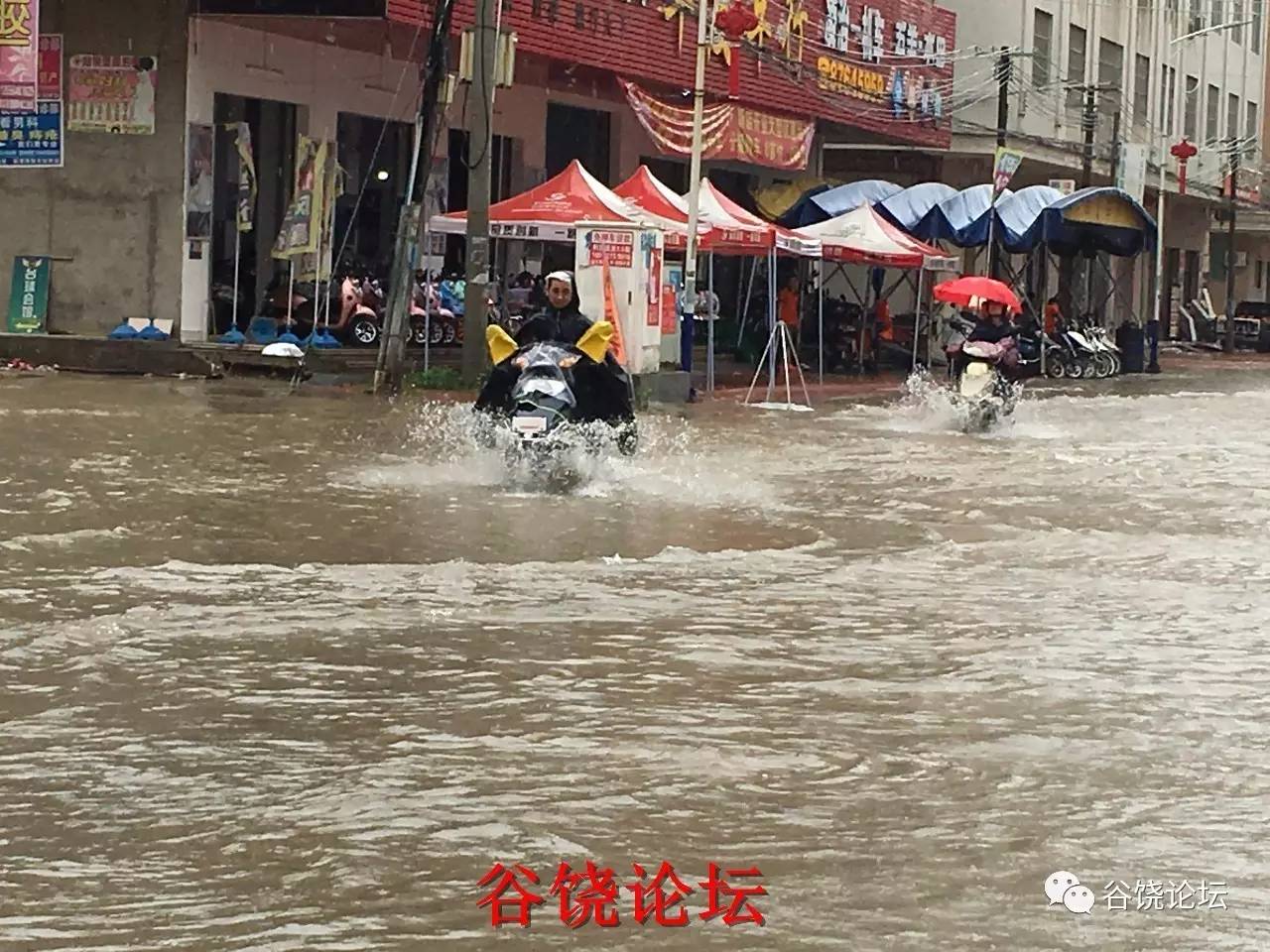 潮阳区谷饶镇水情直播,水灾严重