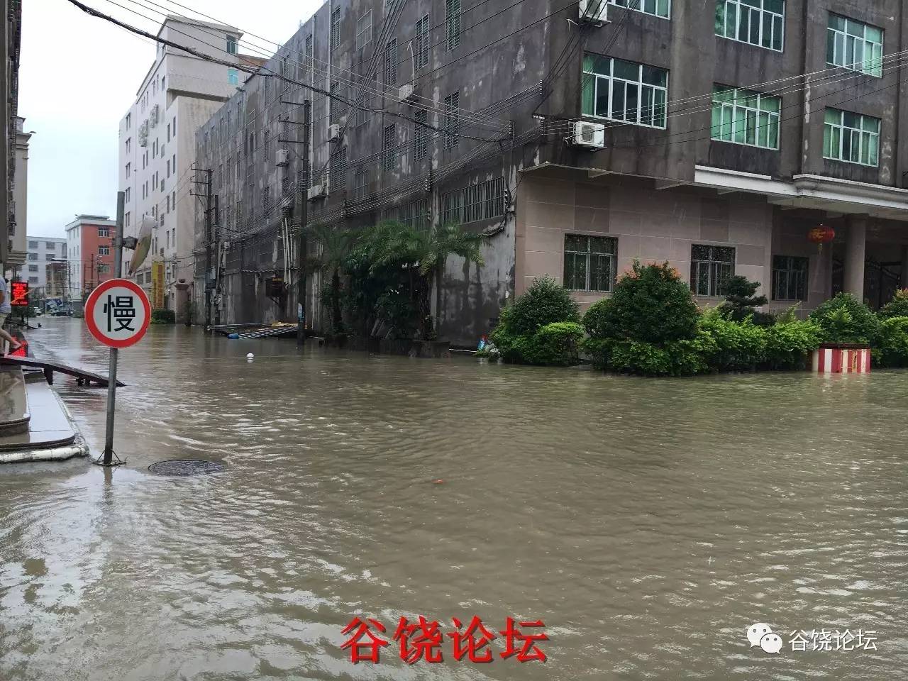 潮阳区谷饶镇水情直播,水灾严重