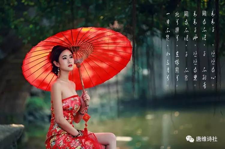 如诗如画的江南水乡 乌篷船在水面轻舟荡漾 美丽如兰的丁香姑娘 将如